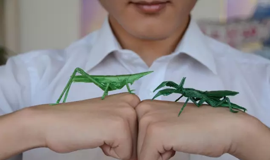 哈工大自降60分錄取折紙少年,找對方向愛好也能助你進名校